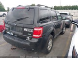 Ford Escape Xlt 1FMCU9DG9BKC34492 fotografie