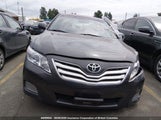 Toyota Camry Se/Le/Xle 4T1BF3EK7BU689223 fotografie