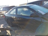 Honda Civic Ex 1HGEM21914L808320 снимка
