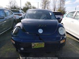 Volkswagen New Beetle Gls 3VWCK21C03M425213 снимка