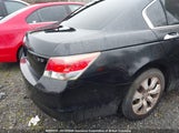 Honda Accord Exl 1HGCP36818A804855 снимка