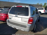 Ford Escape Xlt 1FMCU93128KA41106 снимка