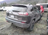 Jeep Cherokee Trailhawk 1C4PJMBX7KD191473 снимка