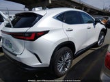 Lexus Nx 350H Base/350H Premium/350H Luxury 2T2GKCEZ7RC023114 fotografie