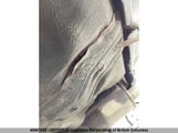 Honda Cr-V JHLRD78984C813276 снимка