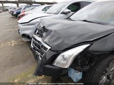 Cadillac Xts 2G61U5S39G9128530 снимка