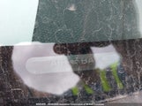 Ford Escape Xlt 1FMCU03G99KB59820 снимка