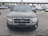 Ford Escape Xlt 1FMCU03G39KB85698 снимка