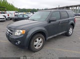 Ford Escape Xlt 1FMCU03G39KB85698 снимка