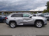 Toyota Rav4 Xle/Xle Premium 2T3R1RFV0KW028021 fotografie