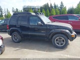 Jeep Liberty Renegade 1J4GL38K64W212489 photo