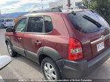 Hyundai Tucson Gl KM8JM72D45U114953 снимка
