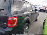 Ford Escape Xlt 1FMCU0DG5BKB87277 снимка