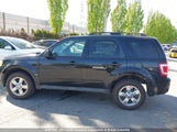 Ford Escape Xlt 1FMCU0DG2CKA31084 fotografie