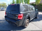 Ford Escape Xlt 1FMCU0DG2CKA31084 fotografie