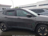 Jeep Compass Trailhawk 3C4NJDDB8JT128352 снимка