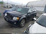 Ford Escape Xlt 1FMCU9DG6CKB85771 fotografie