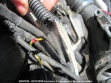 BMW X3 5UXWX7C56DL982951 снимка