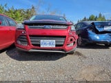 Ford Escape Se 1FMCU9G95EUD90003 снимка