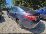 Toyota Corolla L/Le/Xle/Se/Xse 2T1BURHE0HC852884 fotografie