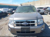 Ford Escape Xlt 1FMCU0D72BKA18141 fotografie