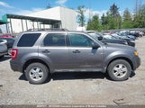 Ford Escape Xlt 1FMCU0D72BKA18141 fotografie