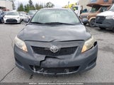 Toyota Corolla S/Le/Xle 2T1BU4EE3AC366776 снимка