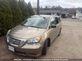 Honda Odyssey Lx 5FNRL38218B510036 снимка