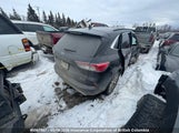 Ford Escape Titanium 1FMCU9J92MUA55868 снимка