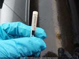 Toyota Corolla Ce/Le/S 2T1BR32E44C811708 снимка
