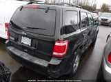 Ford Escape Xlt 1FMCU0D70BKB76428 fotografie