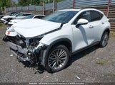 Lexus Nx 450H Luxury/450H F Sport/450H Premium JTJHKCFZ6T2088661 fotografie