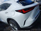 Lexus Nx 450H Luxury/450H F Sport/450H Premium JTJHKCFZ6T2088661 fotografie