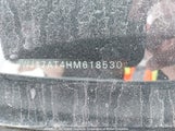 Volkswagen Beetle Se/Sel 3VWJ17AT4HM618530 снимка