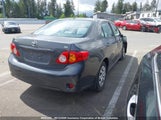 Toyota Corolla S/Le/Xle 2T1BU4EE3AC260005 снимка