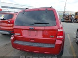Ford Escape Xlt 1FMCU9DG5CKC11003 снимка