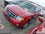 Ford Escape Xlt 1FMCU9DG5CKC11003 снимка