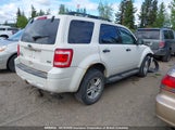 Ford Escape Xlt 1FMCU9DG8BKA10811 снимка