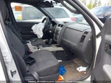 Ford Escape Xlt 1FMCU9DG8BKA10811 снимка
