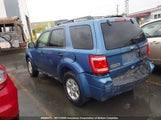 Ford Escape Xlt 1FMCU9D70AKA81192 снимка