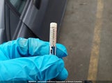 Honda Civic Lx 2HGFB2F45EH011087 снимка