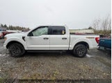 Ford F150 1FTEW1E8XNFA36761 снимка