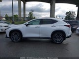 Lexus Nx 350H Base/350H Premium/350H Luxury 2T2GKCEZ4SC038661 fotografie