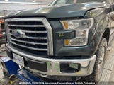 Ford F150 1FTEW1EF4FKE18968 fotografie