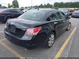 Honda Accord Exl 1HGCP36869A801337 снимка