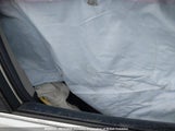 Toyota Camry 4T1BF1FK7GU569920 снимка