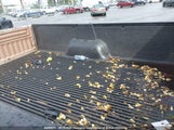 Ford F150 1FTEF15N3SLC08289 снимка