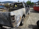 Ford F150 1FTPW14595KE34504 снимка