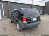 Ford Escape Xlt 1FMYU93115KA76897 снимка