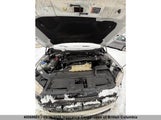 Ford F150 1FTFW1E15LFA02201 снимка
